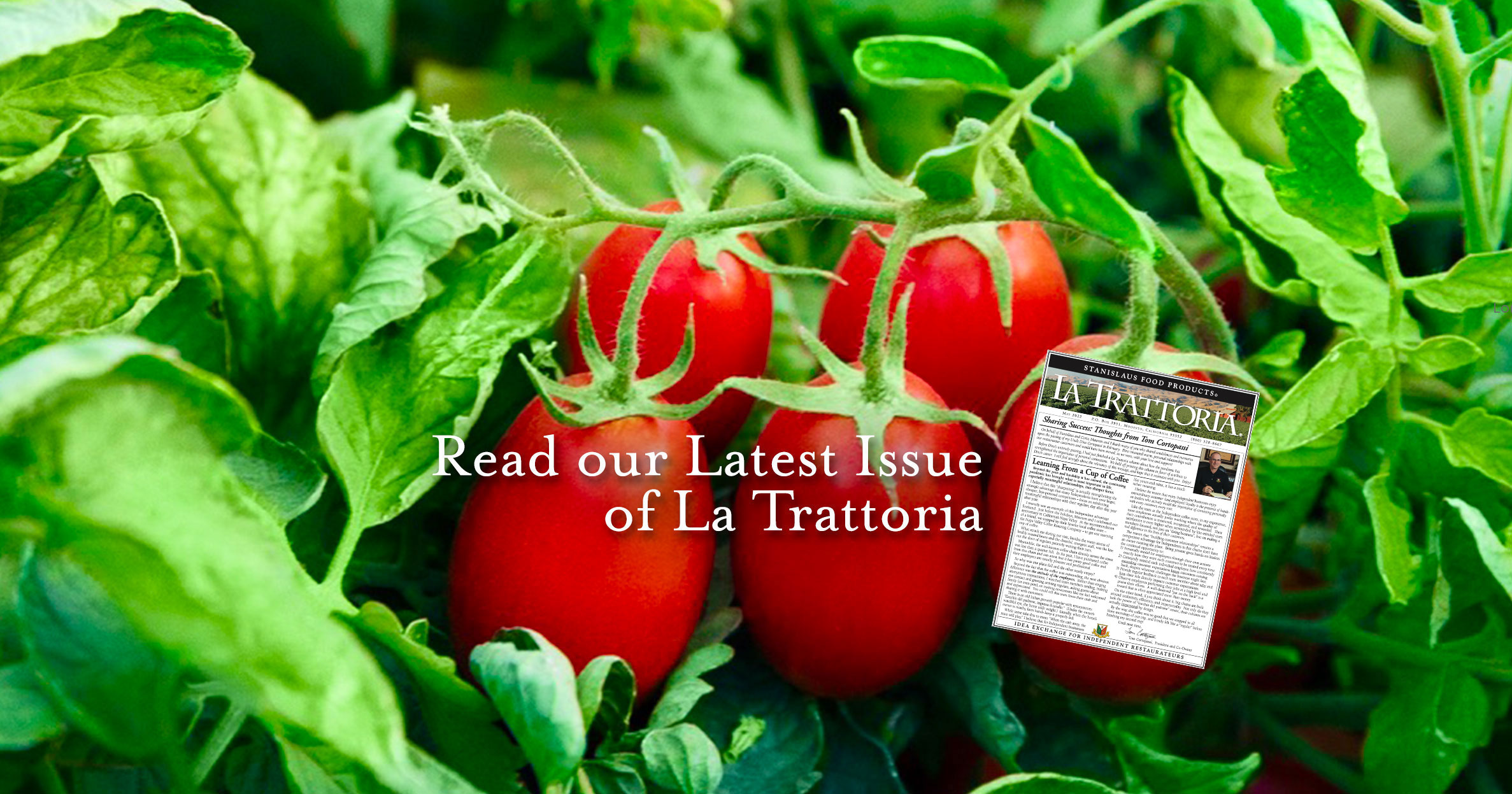 HOME Stanislaus Foods